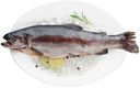 Форель радужная потрошёная с головой