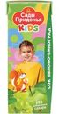 Сок Сады Придонья Kids яблочно-виноградный с 6 месяцев, 200мл