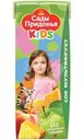 Сок Сады Придонья Kids мультифруктовый с мякотью, 200мл