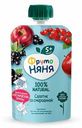 Пюре ФрутоНяня Салатик со смородиной с 5 месяцев 90 г