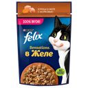 Корм для кошек FELIX® Sensations желе курица-морковь, 75г
