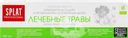 Зубная паста SPLAT Medical Herbs Professional, 100мл