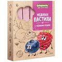 Пастила Galagancha Honey Sweet Pastilla медовая таёжные ягоды, 190г