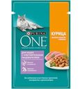 Корм Purina ONE для кошек с чувствительным пищеварением Курица Морковь 75г