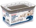 Контейнер Архимед Calipso с герметичной крышкой, 0.8л