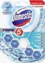 Блок для очищения унитаза Domestos Power5 Свежесть океана, 55 г