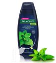 Шампунь PALMOLIVE Men От перхоти и выпадения волос с экстрактом Мяты 380мл