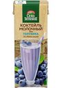 Коктейль Село Зелёное молочный вкус голубика 3,2%, 200г