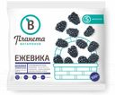 Ежевика Планета Витаминов 250г