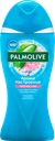 Гель для душа PALMOLIVE Арома настроение Твой массаж с массажными микрочастицами, с солью мертвого моря, алоэ вера и мятой, 250мл