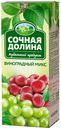 Напиток сокосодержащий Сочная Долина Виноградный микс яблоко-виноград-черноплодная рябина, 200мл