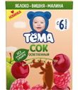 Сок «Тёма» яблочно-вишнево-малиновый, осветленный, с 6 месяцев, 200 мл