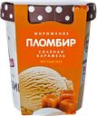 Мороженое ПЕСТРАВКА пломбир-соленая карамель, 270г