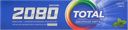 Зубная паста от кариеса Дентал клиник 2080 натуральная мята Экён к/у, 120 мл