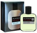 Туалетная вода мужская Today Parfum Pro-Energy Platinum 100 мл