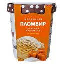 Мороженое ПЕСТРАВКА пломбир-соленая карамель, 270г
