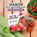 Набор для выращивания "Супер Рассада", ВЫРАСТИ МЕНЯ!, в ассортименте