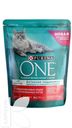 Корм PURINA ONE сухой с лососем и пшеницей для стерилизованных кошек-котов 750г