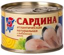 Сардина атлантическая «5 Морей» натуральная с маслом, 250 г