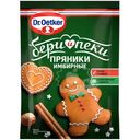 Смесь Dr.Bakers Имбирные Пряники для приготовления пряников, 12г