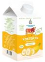 Коктейль молочный Чебаркульское молоко со вкусом банана 3.2% БЗМЖ 500г