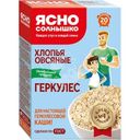 Хлопья овсяные Ясно Солнышко Геркулес отборные, 450г