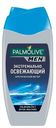 Гель для душа 3 в 1 Palmolive Men Экстремально Освежающий Арктический Ветер 250 мл