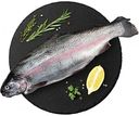 Форель горная охлажденная потрошеная с головой Осетия, 1кг