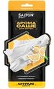 Арома саше для обуви Salton Sport Citrus Drive, 2шт