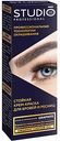 Стойкая крем-краска для бровей и ресниц Studio Professional цвет: графит