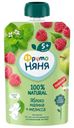 Пюре детское ФрутоНяня 100% NATURAL 90г яблоко, малина и мелисса