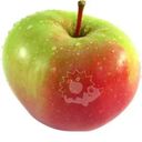 Яблоки Воронежские