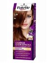 Крем-краска для волос Palette каштан R4 (5-68) 110 мл