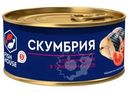 Скумбрия Fish House атлантическая кусочки в томатном соусе 240г
