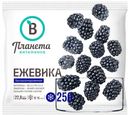 Ежевика Планета Витаминов быстрозамороженная, 250г