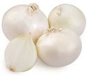 Лук репчатый белый