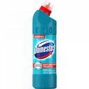 Универсальное cредство Максимальная защита Domestos Свежесть Атлантики, 500 мл