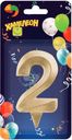Свеча Хамелеон Грань цифра 2 1шт.