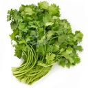 Кориандр Global Village Кинза свежая 50г