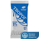 КНЯГИНИНСКОЕ МОЛОКО Творог 5% 180г фл/п:8