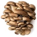 Вешенки культивируемые Маркет Fresh, 300г