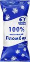 Мороженое пломбир ЧЕЛНЫ-ХОЛОД 100% Настоящий пломбир 12%, без змж, пакет, 900г