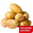 КАРТОФЕЛЬ, 1кг