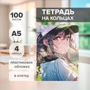 Тетрадь на кольцах, 100 листов, со сменным блоком, в ассортименте