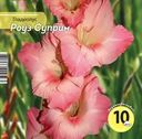 Луковицы НК.ЛТД Гладиолус Роуз Суприм 10/12, Арт. НК390259, 10шт