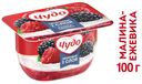 Творожок «Чудо» взбитый малина-ежевика 4,2%, 100 г