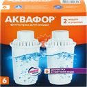 Модуль сменный АКВАФОР В6 Арт. В100-6(К-2), 2шт