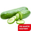 ОГУРЦЫ гладкие, 1кг