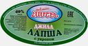 Сырный продукт Лапша с укропом Амшен 40% 100г