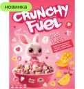 Готовые завтрак Crunchy Fuel микс сочных тропических фруктов с шоколадом, 200 г